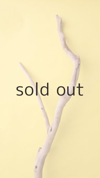 画像4: 枝流木 (4)