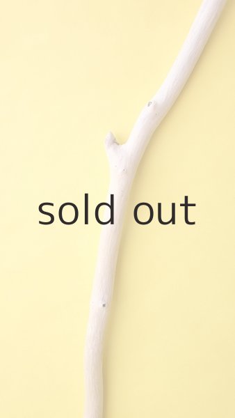 画像3: 枝流木 (3)