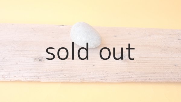 画像4: 板流木 (4)