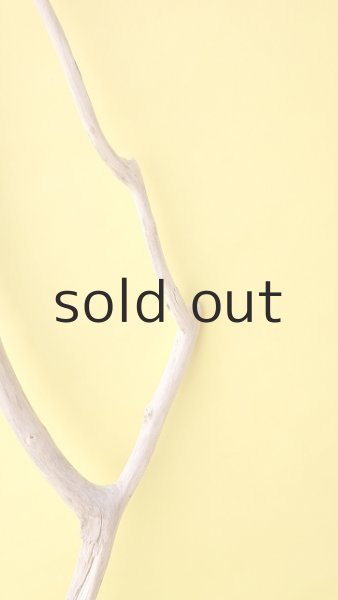 画像3: 枝流木 (3)