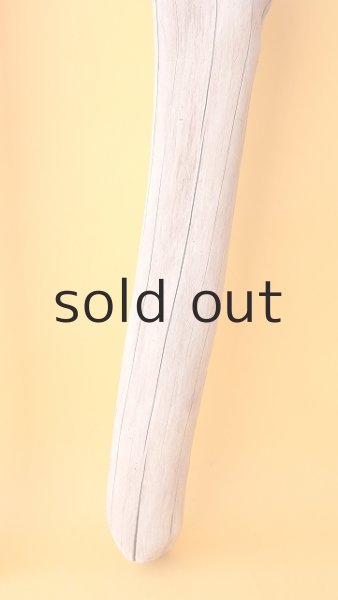 画像5: 幹流木 (5)