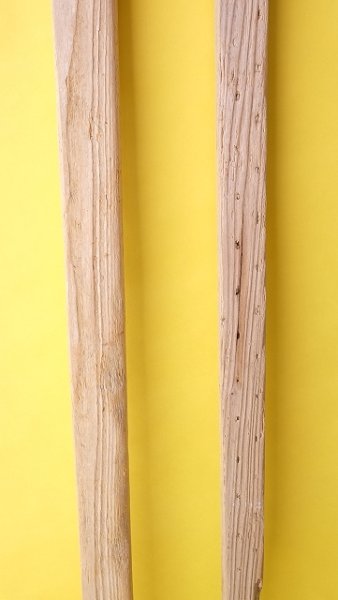 画像3: 板流木セット (3)