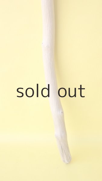 画像2: 枝流木 (2)