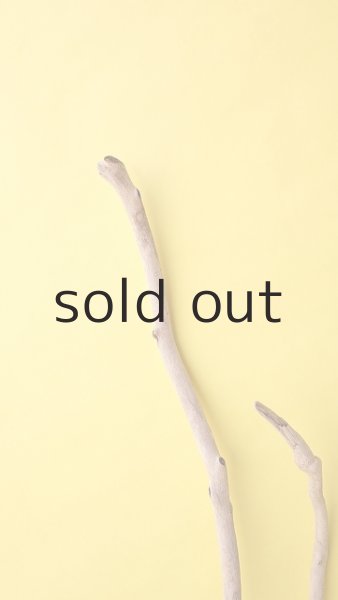 画像4: 枝流木 (4)