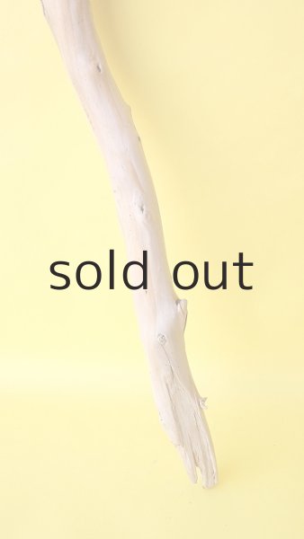 画像2: 枝流木 (2)