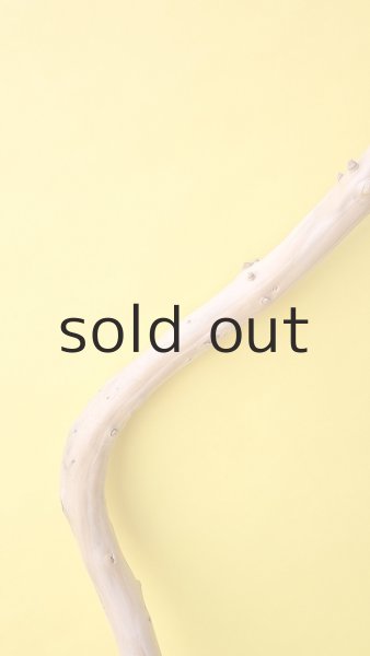 画像3: 枝流木 (3)