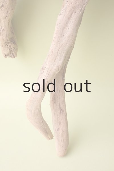 画像2: 流木根(中型) (2)