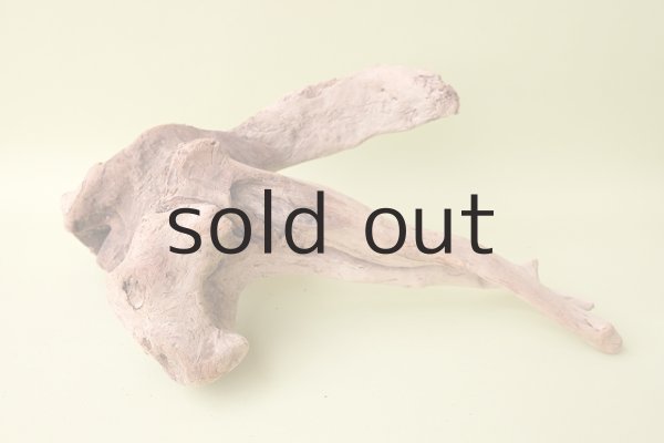 画像8: 流木根(中型) (8)