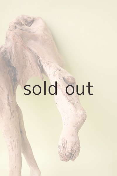 画像7: 流木根(中型) (7)