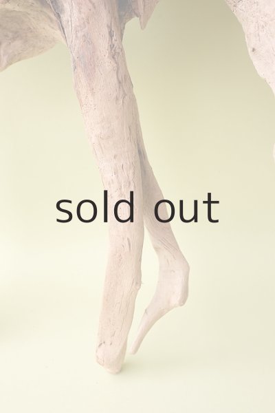 画像6: 流木根(中型) (6)