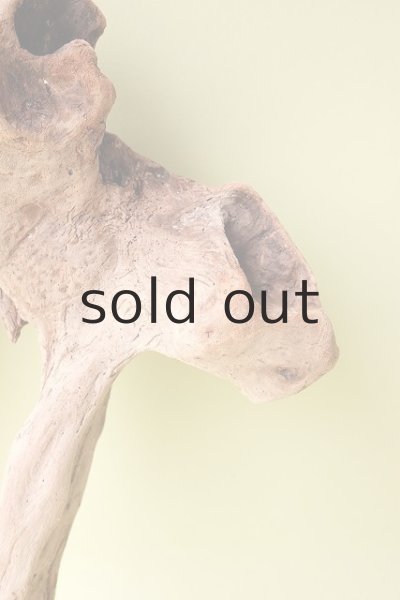 画像3: 流木根(中型) (3)