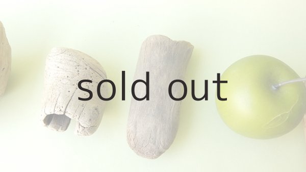 画像3: 変形流木セット (3)