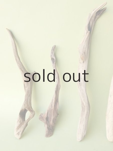 画像2: 変形流木セット (2)