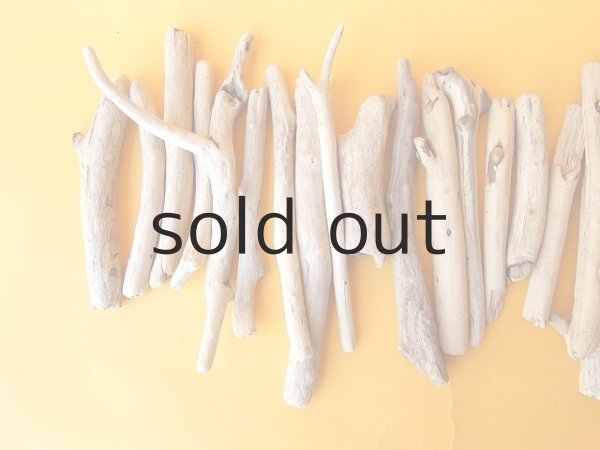 画像2: 小枝流木セット (2)