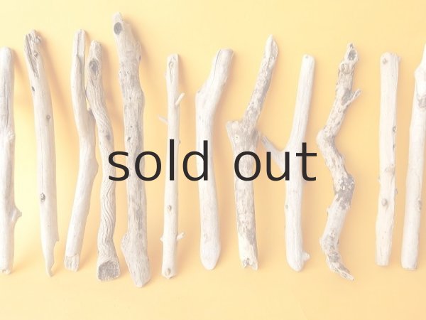 画像3: 小枝流木セット (3)