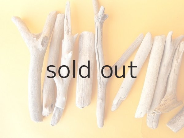 画像2: 小枝流木セット (2)