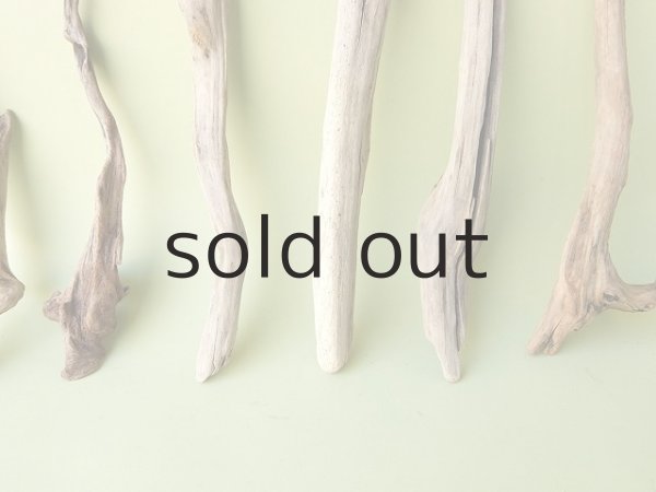 画像5: 変形流木セット (5)