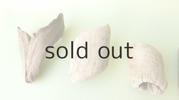 画像2: 変形流木セット (2)