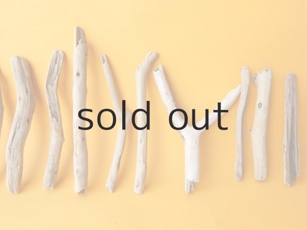 画像3: 小枝流木セット (3)