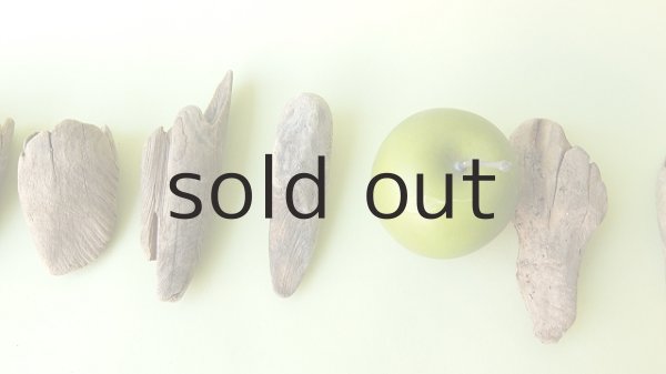 画像3: 変形流木セット (3)