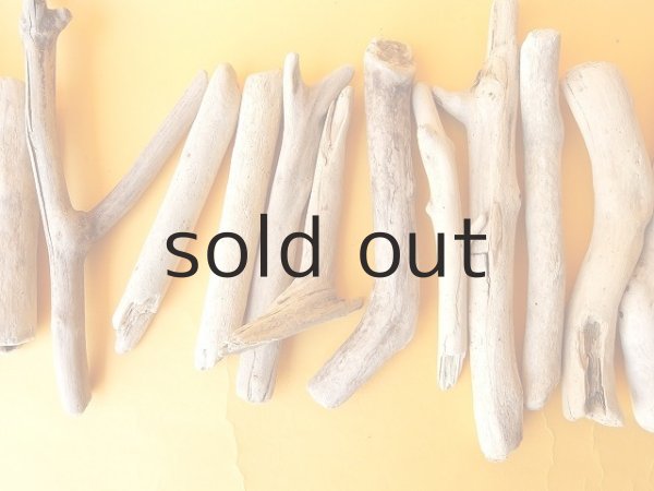 画像3: 小枝流木セット (3)