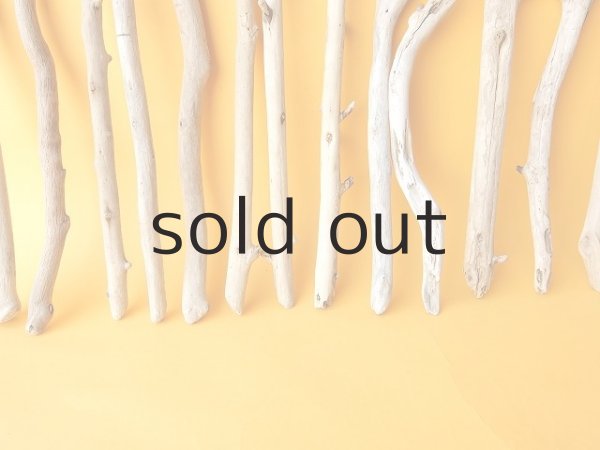 画像5: 小枝流木セット (5)