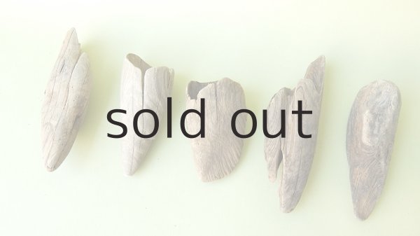 画像2: 変形流木セット (2)