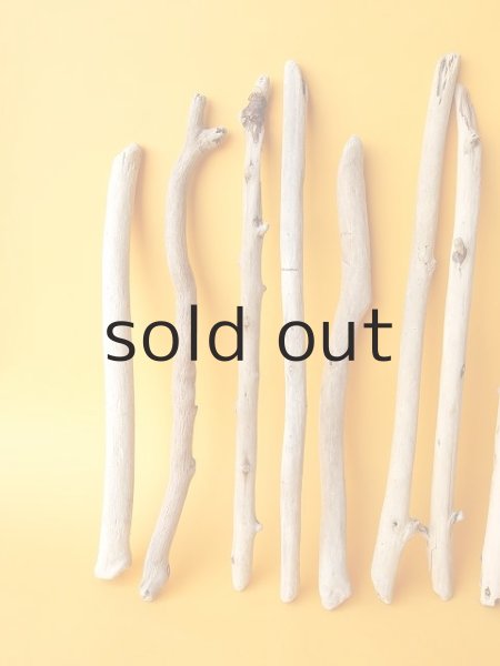 画像2: 小枝流木セット (2)