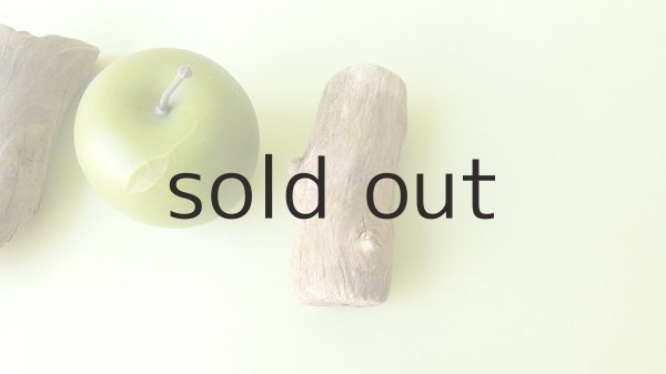 画像4: 変形流木セット (4)