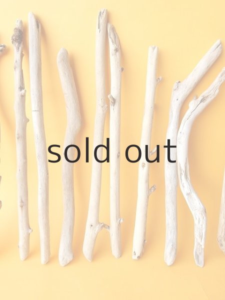 画像3: 小枝流木セット (3)