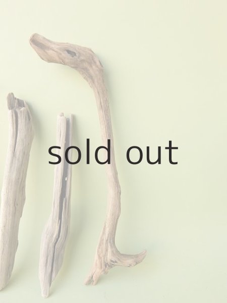 画像4: 変形流木セット (4)