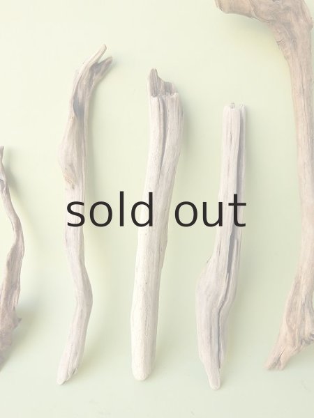 画像3: 変形流木セット (3)