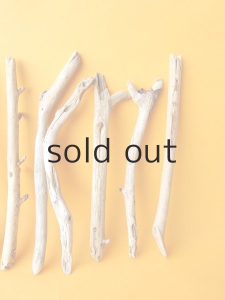 画像4: 小枝流木セット (4)