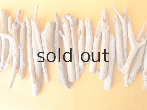 画像3: 小枝流木セット (3)