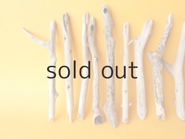 画像2: 小枝流木セット (2)