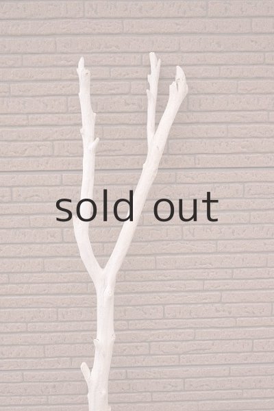 画像4: 幹流木 (4)