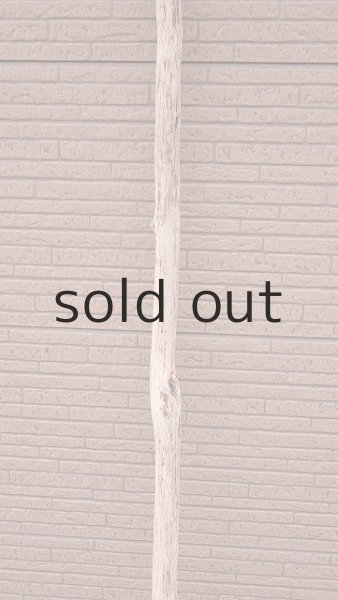 画像3: 幹流木・長尺 (3)