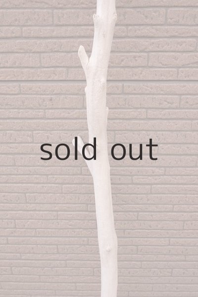 画像3: 幹流木 (3)