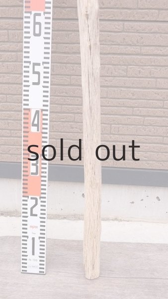 画像5: 幹流木・長尺 (5)