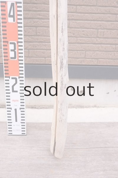 画像5: 幹流木 (5)