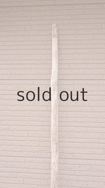 画像4: 幹流木・長尺 (4)