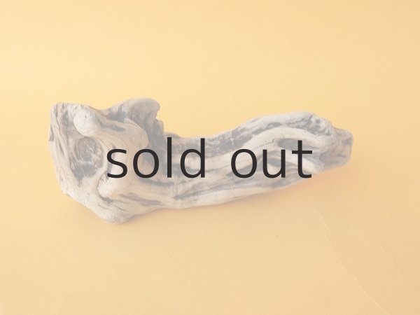 画像3: 変形流木 (3)