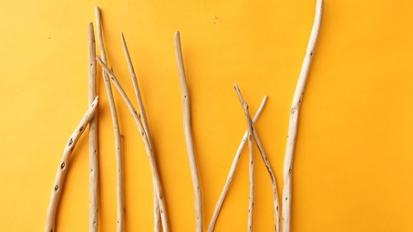 画像4: 棒流木セット (4)