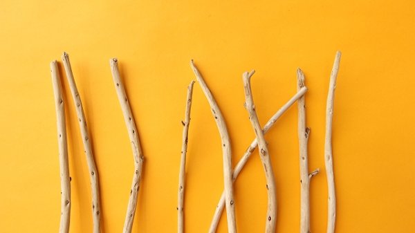 画像4: 棒流木セット (4)