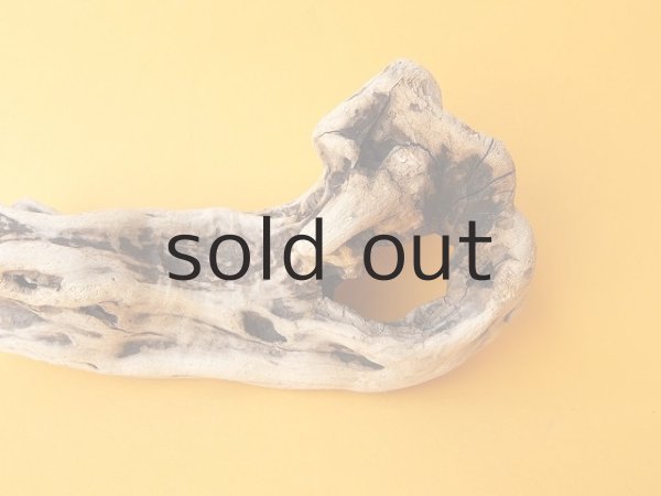 画像4: 変形流木 (4)