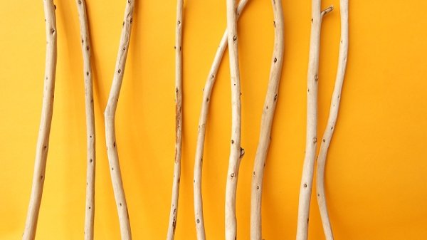 画像3: 棒流木セット (3)