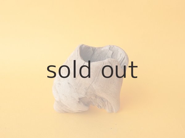 画像2: 変形流木 (2)