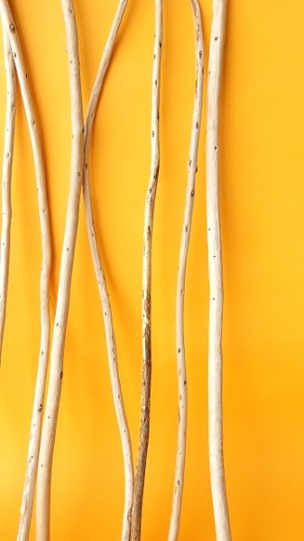 画像6: 棒流木セット (6)