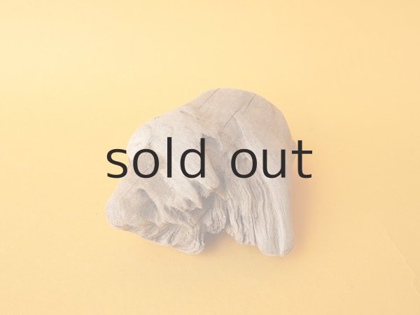 画像3: 変形流木 (3)