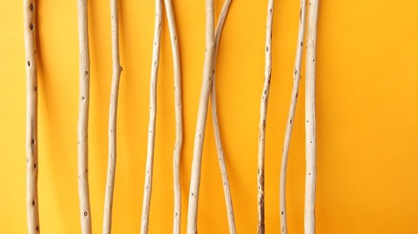 画像3: 棒流木セット (3)